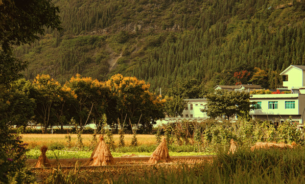 稻香万峰林