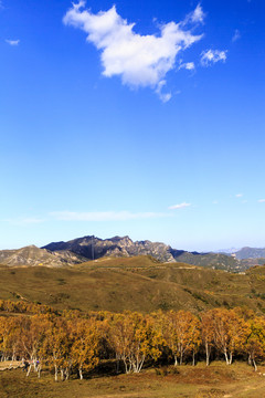 北京市门头沟灵山自然风景区风光