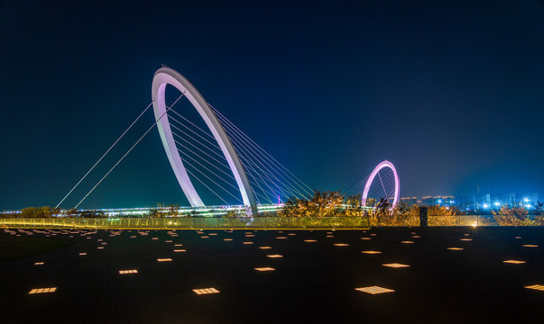 南京眼步行桥夜景