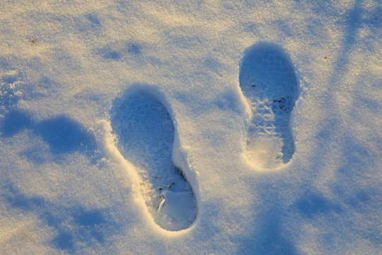 雪地脚印