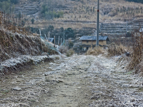 冬日清晨的山村小路