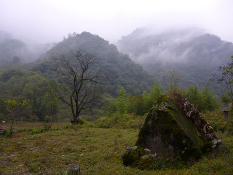 云雾缭绕的山野