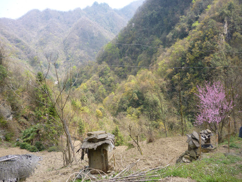 山野里的土法简易蜂箱