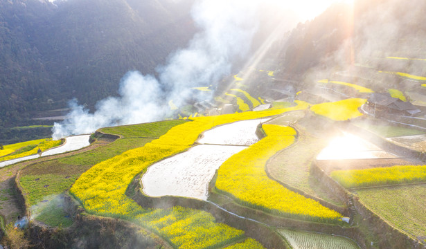 湖南湘西巖排溪梯田油菜花