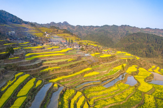 湖南湘西巖排溪梯田油菜花