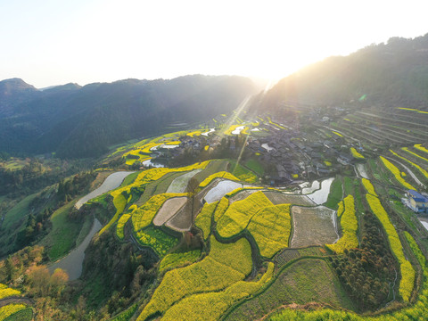 湖南湘西岩排溪梯田油菜花