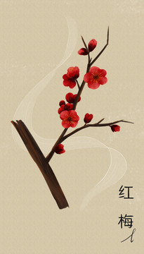 梅花手繪紅梅插畫