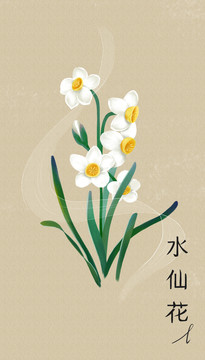 手绘白色水仙花