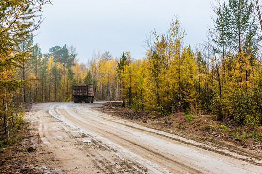 秋季森林公路