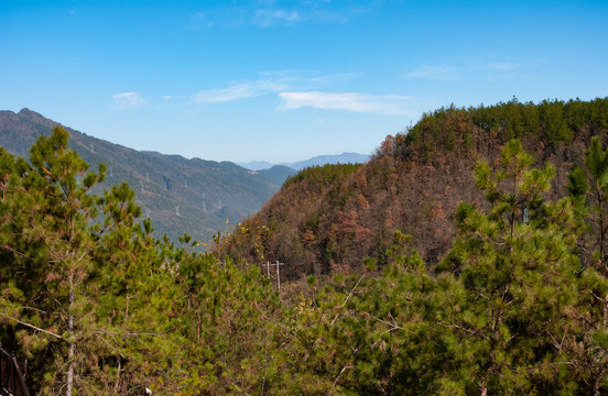 山林綠化