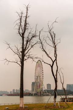 金鸡湖风光