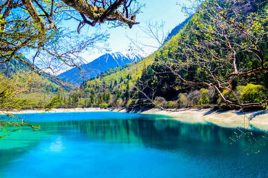 九寨沟风景