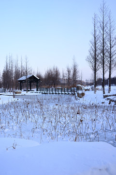 雪景