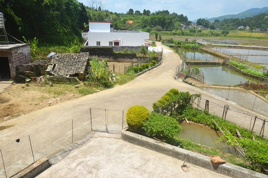 乡村道路