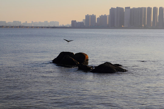 珠海海湾