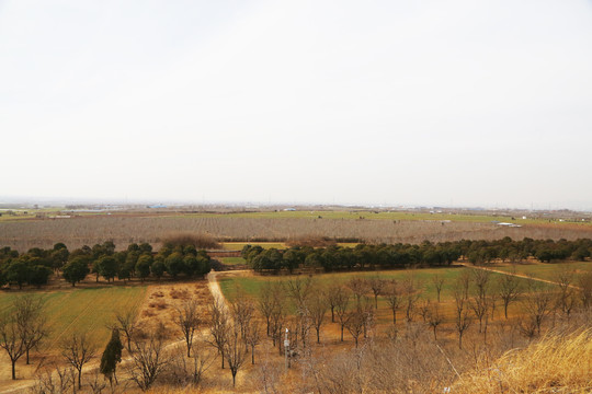 山坡远眺