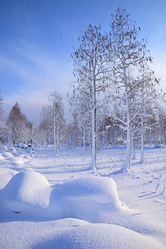 雪景