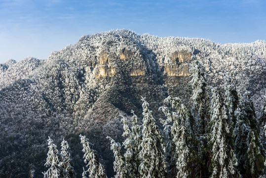 山中雪景