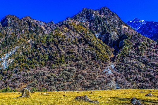 四姑娘山毕棚沟风景区