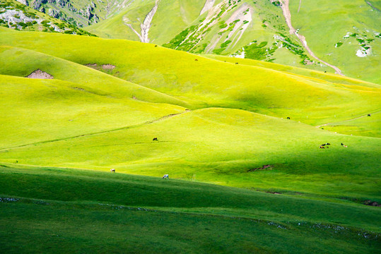 中国新疆伊犁那拉提草原