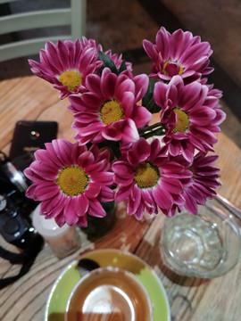 台面雏菊花卉