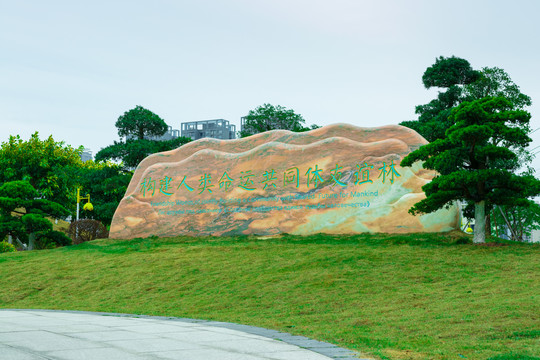 构建人类命运共同体友谊林石碑