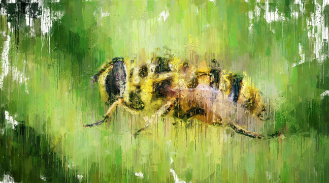 蜜蜂油画