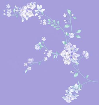 工筆花卉
