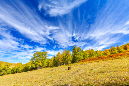 蓝天白云下秋天的大草原