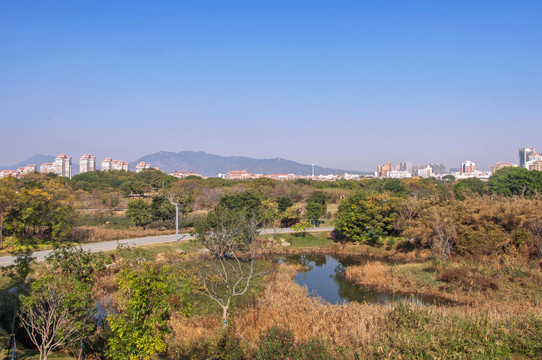 泉州江南公园一景