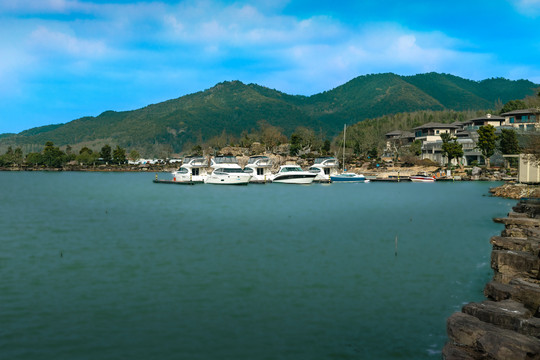 马山湿地