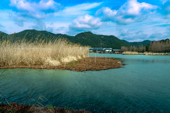 马山湿地