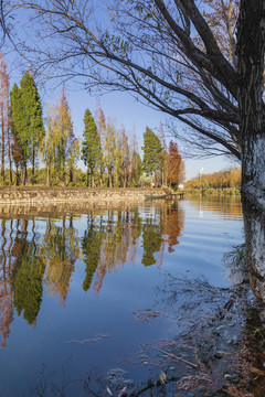 昆明滇池湿地蓝天碧水自然风光