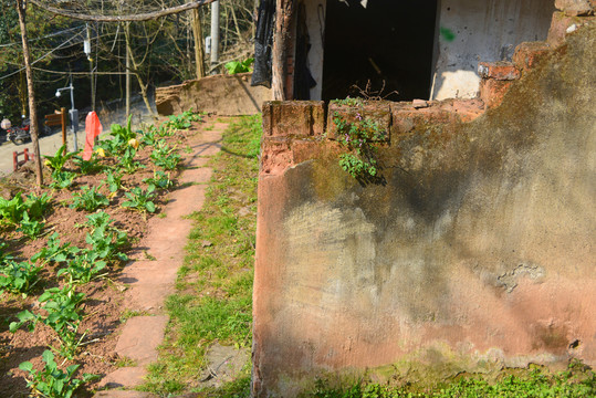 成都龙泉山农家庭院老屋和菜地