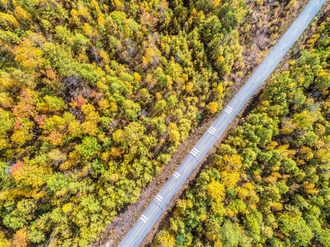 航拍秋天森林公路