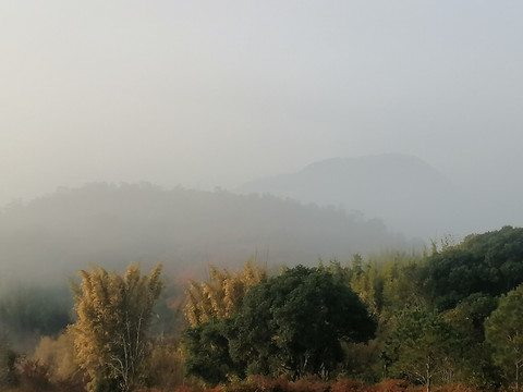 乡村意境雾景