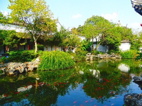 严家庭院