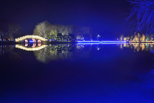 枝城镇西湖公园夜景