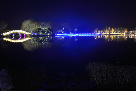 枝城镇西湖公园夜景