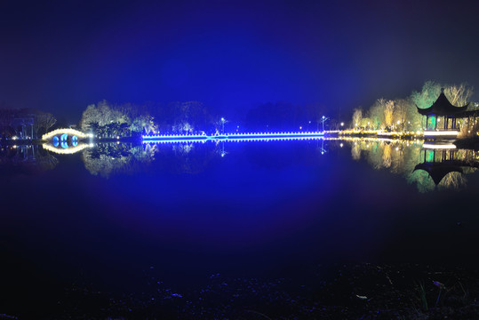 枝城镇西湖公园夜景