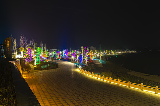 枝城镇朝阳广场夜景