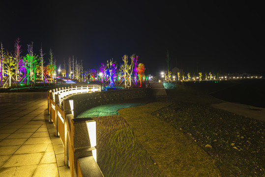 枝城镇朝阳广场夜景