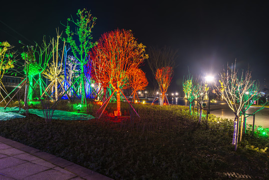 枝城镇朝阳广场夜景