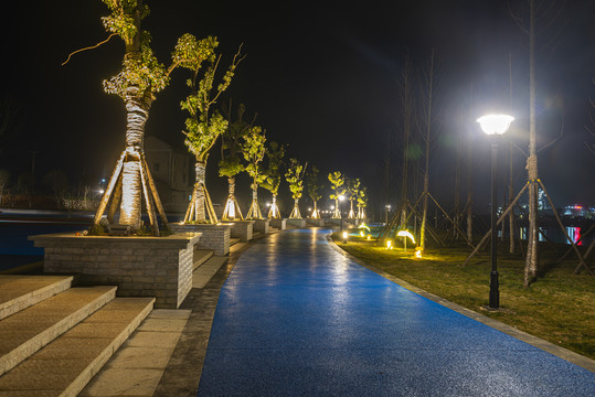 枝城镇朝阳广场夜景