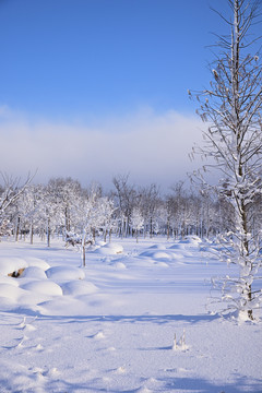 雪景