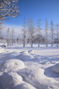 雪景