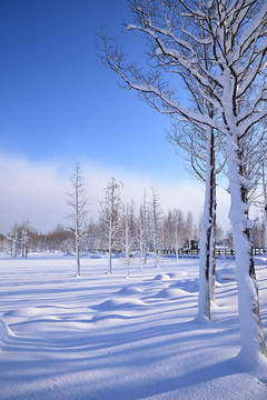 雪景