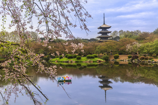 旅游景区