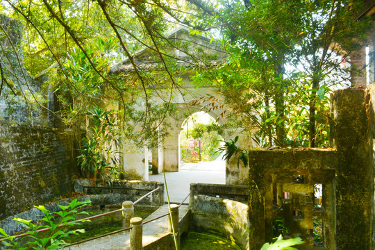 听松涛阁风景