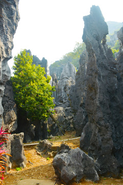 百頁(yè)劍門(mén)